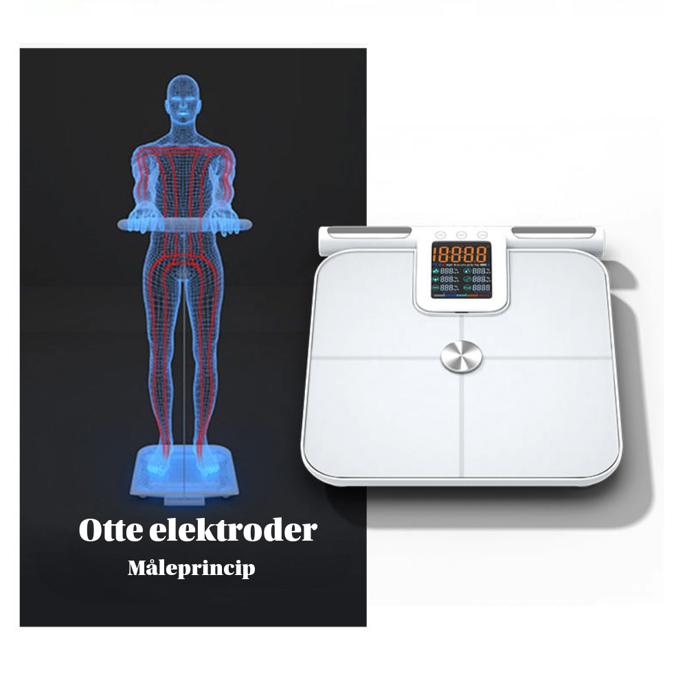 WorkWalk Kropsscanner