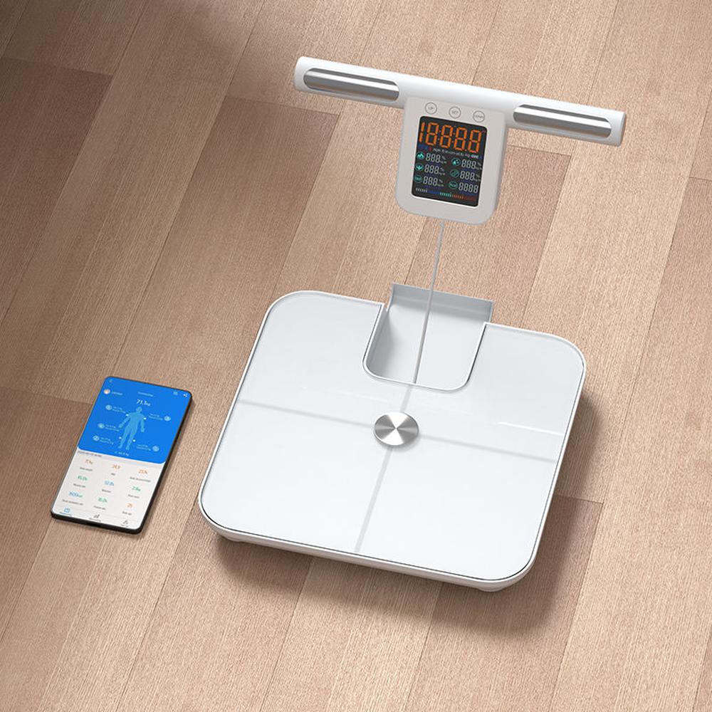 WorkWalk Kropsscanner